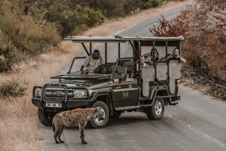 safari ranger that spotted a cheetah